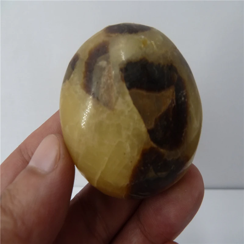 

NATURAL Dragon Septarian QUARTZ CRYSTAL PALM WORRY T849