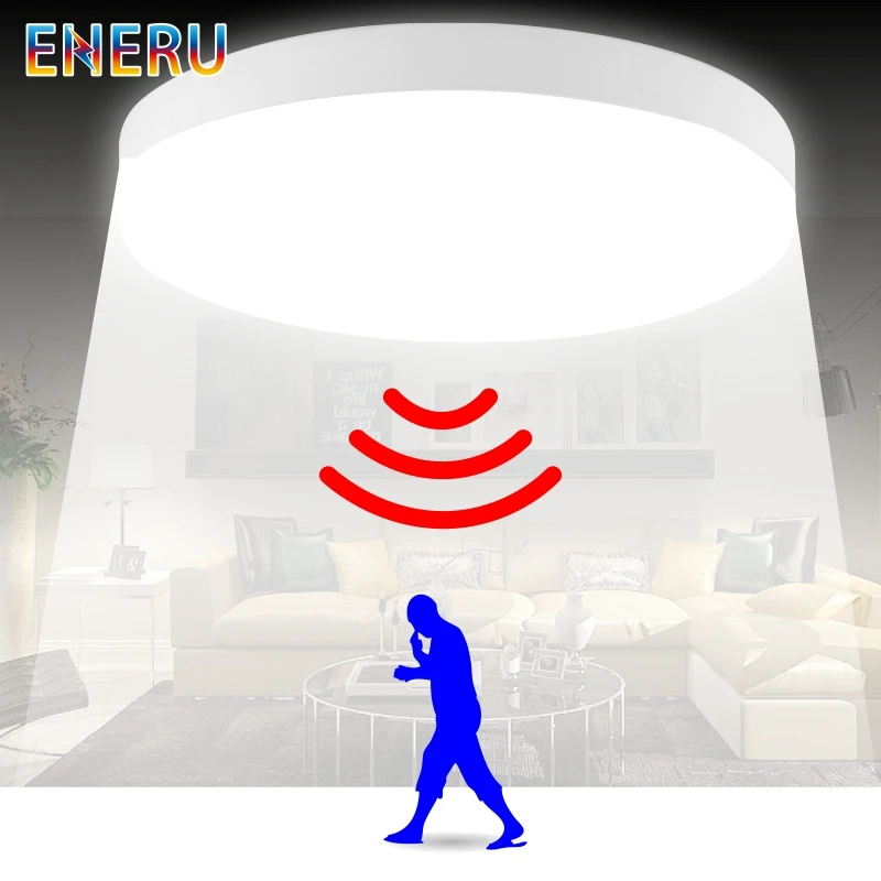  LED Ceiling Light 12W 24W PIR Motion Sensor Modern Lamp Surface Mounted Auto Smart Sounds Control A - 33046656353