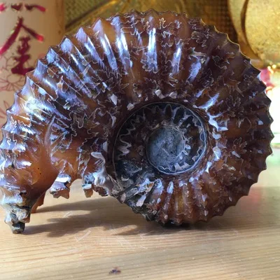 6133504976_1719669973.400x400