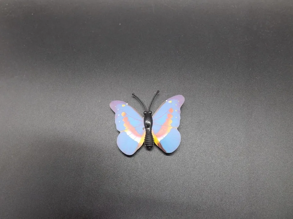 I266-Butterfly (6)