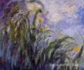 Leinwand kunst Gelb Iris Claude Monet reproduktion Gemälde Handmade Hohe Qualität|Malerei und Kalligraphie|Heim und Garten -