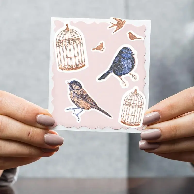 Transparent Stamp Silicone Seal Bird Cage Seal Tableware for DIY Scrapbooking Album Craft Card Making Gift