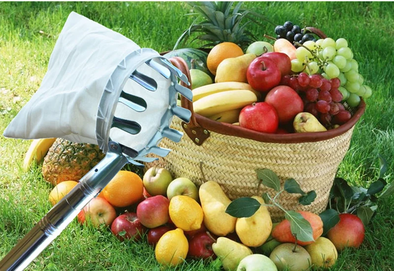 07 MPT Garden Tools Metal Fruit Picker Gardening Picking Apple Citrus Pear Peach High Branches Tree Picking Tool Hand Tools