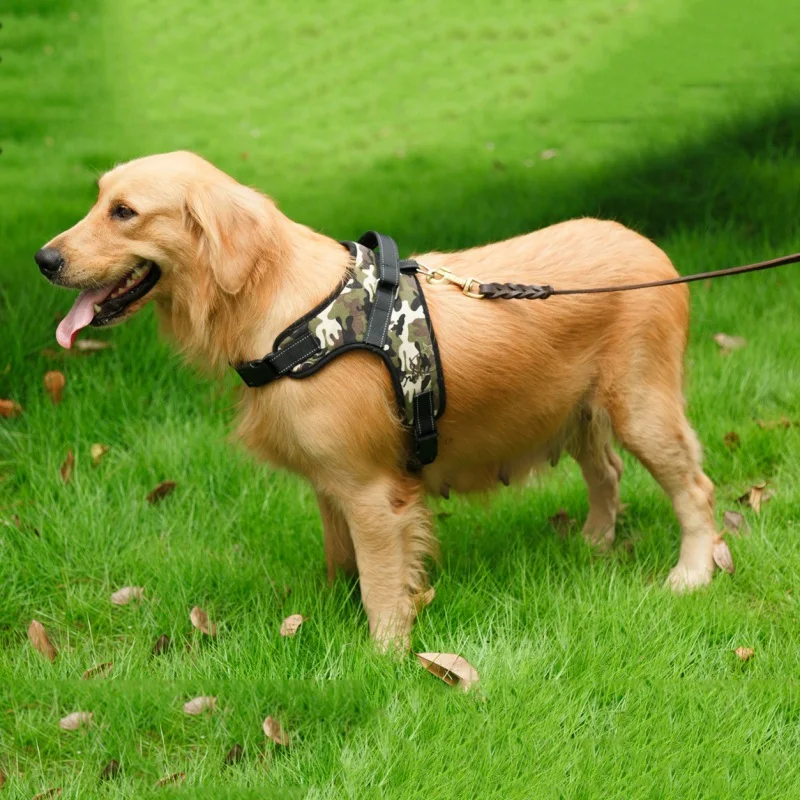 

Breathable Pet Dog Matched Leashes and Adjustable for Dogs Puppy Cat Pets Chest Strap Leash 4 Corols