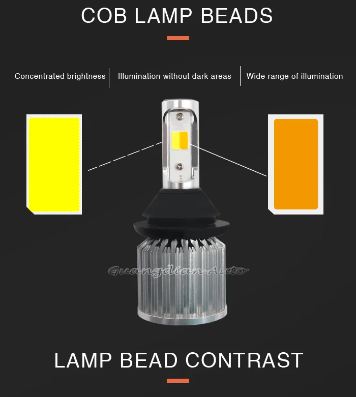 COB-7440-_02