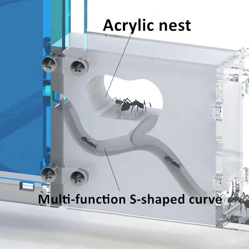 Муравьиное гнездо клетка для насекомых ферм корма пластиковый акриловый дисплей трапециевидная коробка
