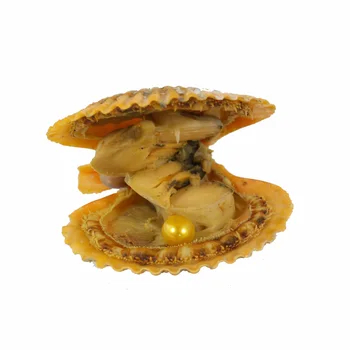 

Yellow Rice Vacuum-packed Love Wish Pearl Oyster 20pcs Scallop Shell Red Oysters 6-7MM Colorful Oval Pearls Beads RO012