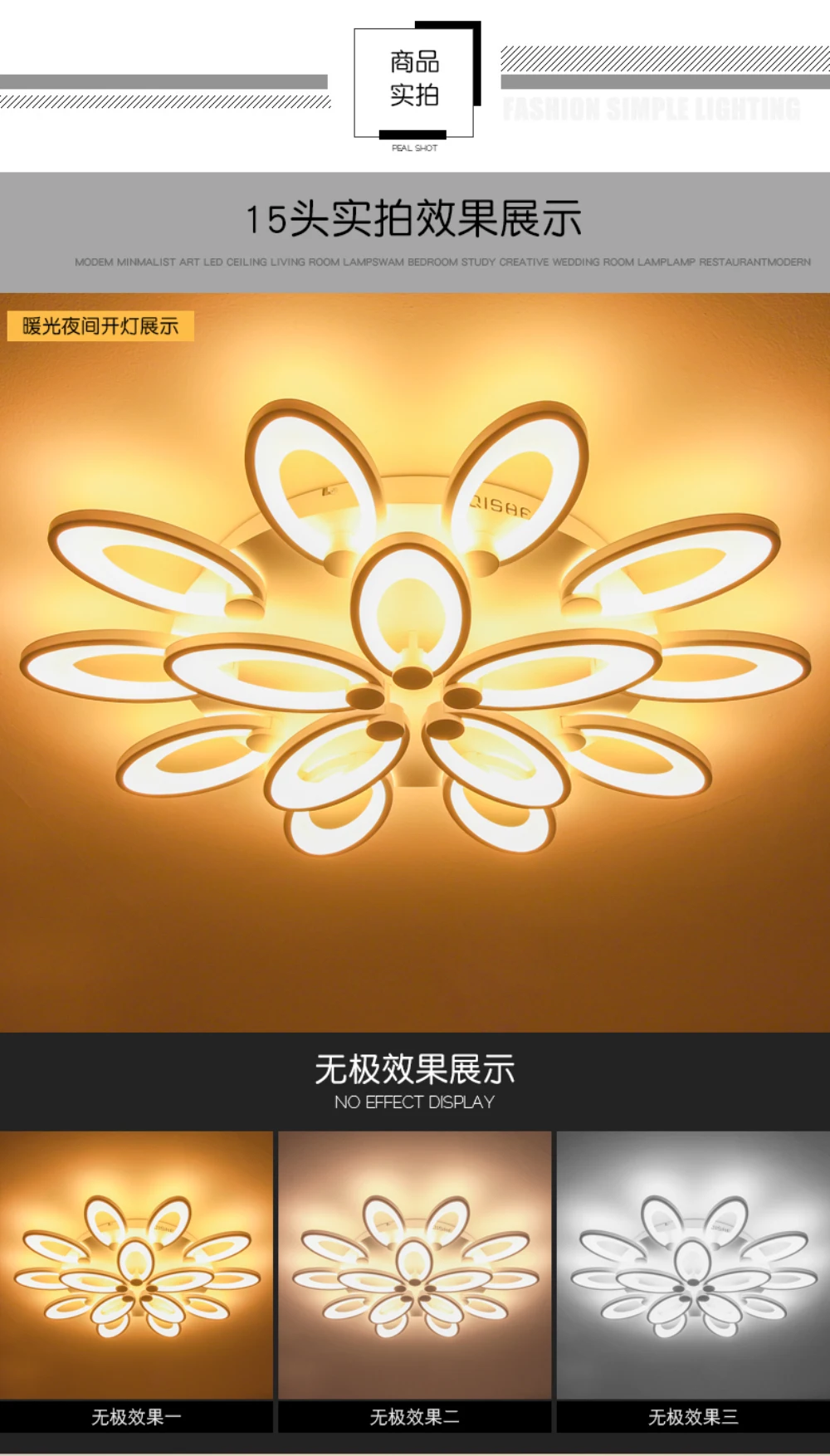 gorgeous ceiling light foyer-08