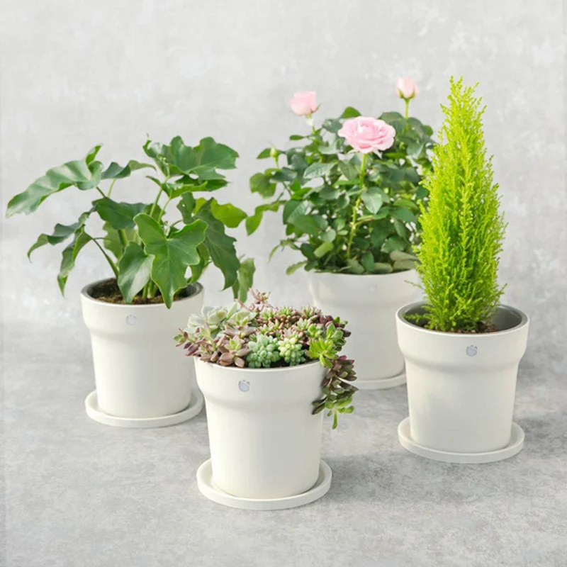 Original Xiaomi Flora Smart Flower Pot Monitor Digital Plants Grass Soil Water L