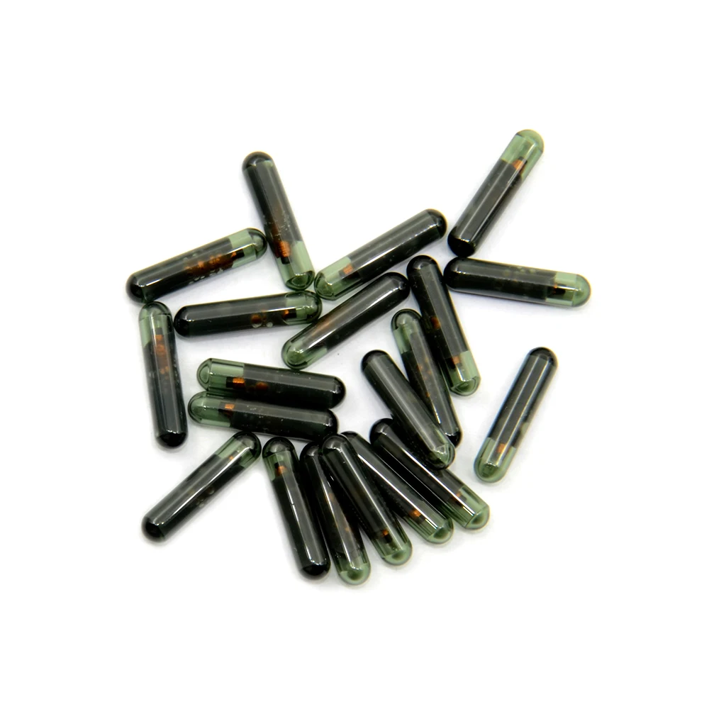 SV110 (9)