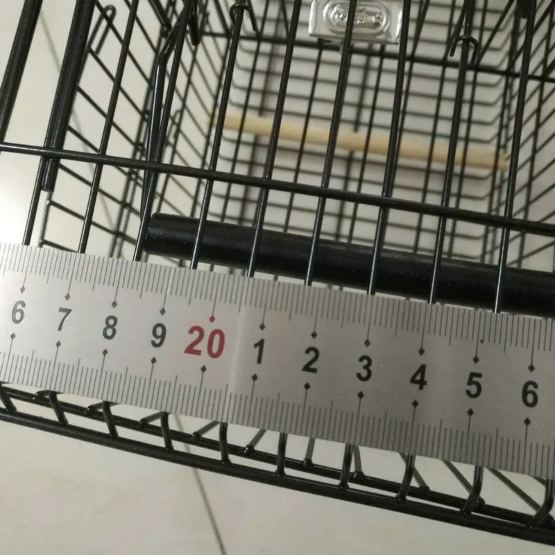 bird trap cage