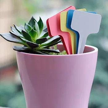 

100pcs Plant Markers Mini Landscape Gardening Labels Succulents Potted Labels T-Type Ground Insert Labels Thickened