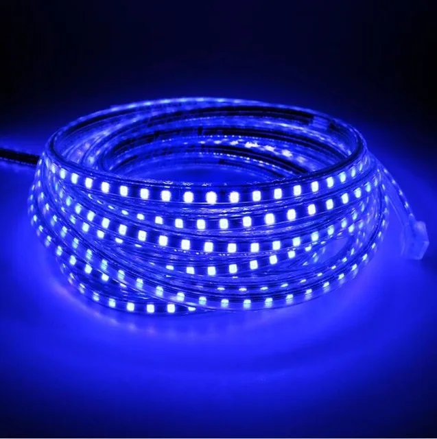 AC-220V-led-strip-light-2835-waterproof-IP67-IP68-led-tape-with-power-plug-led-rope.jpg_.webp_640x640
