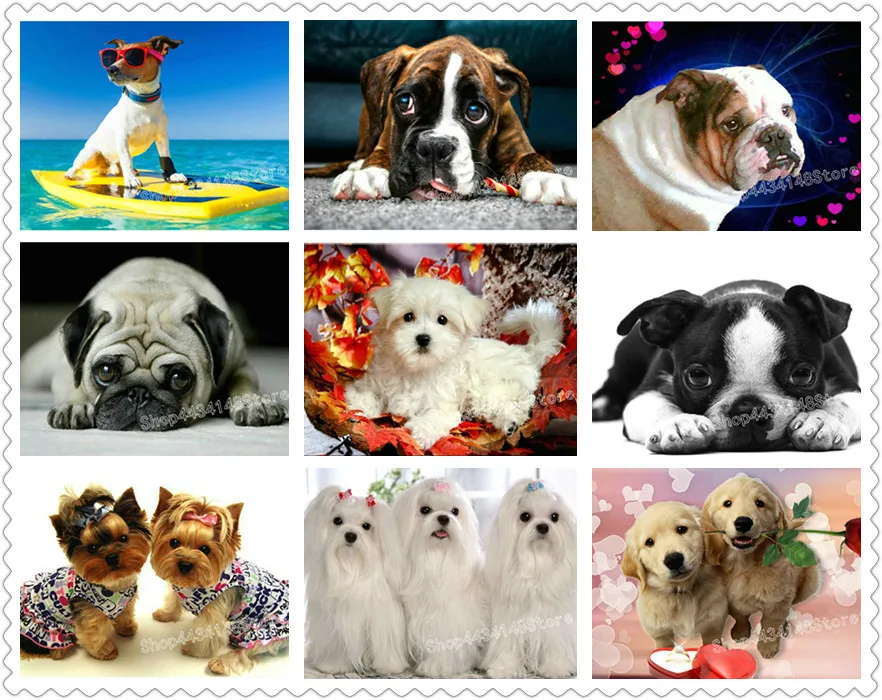 

New 5d diy diamond painting cat picture full square diamond embroidery dog rhinestone mosaic 20x30cm