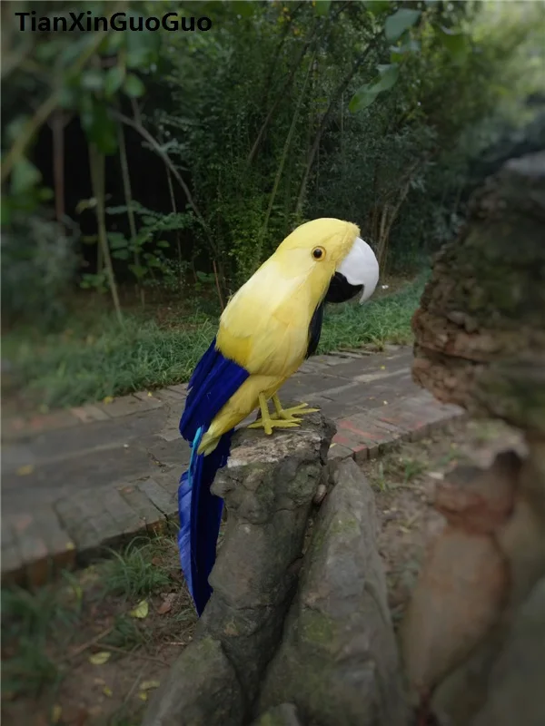 beautiful feathers parrot simulation parrot about 30cm bird hard model handicraft prop,home garden decoration gift s0296