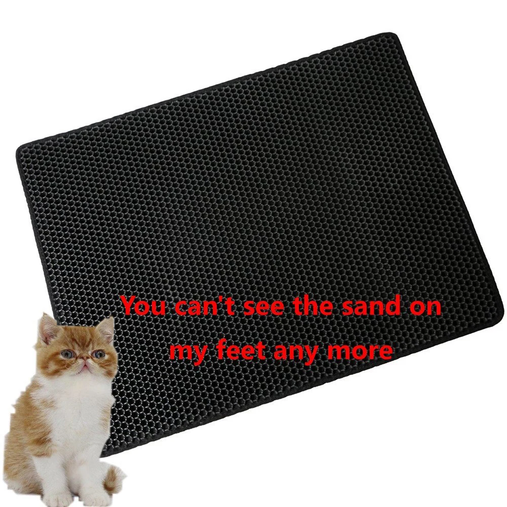5307875515_506954066