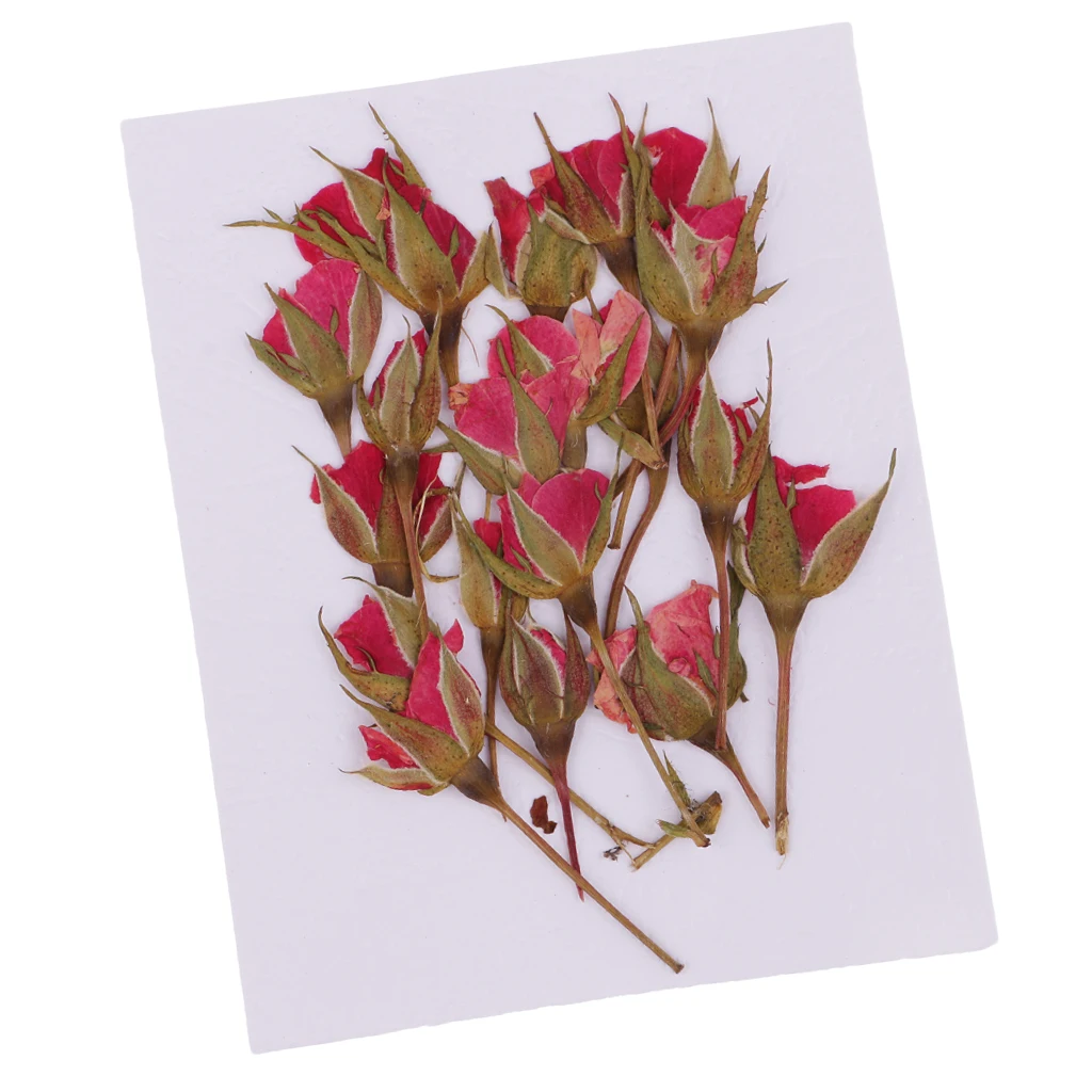 20x Pressed Natural Dried Flower Rose Flower Embellishment for DIY Phone Case Decoration DIY Handmade Home Ornament Craft