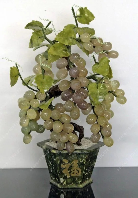 2019 /bag grape seeds miniature grape vine seeds organic