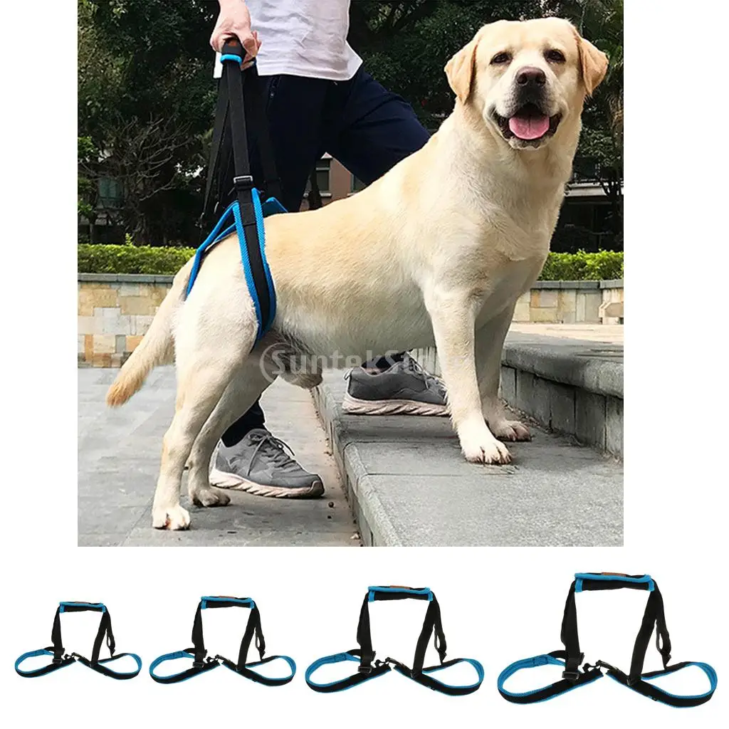 Pet Dog Hind Leg Auxiliary Belt Lift Harness Mobility Support Harness with Assist Sling for Old Injured Dogs