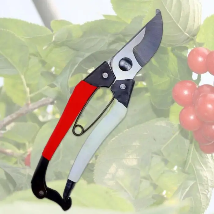 Завод scissor сплава двойной Цвет ручка Обрезка Резак садоводства фруктов ветка прививки ножницы секатор Инструменты