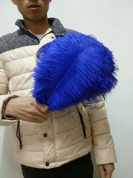 

Wholesale 50 pc high quality royal blue ostrich feather 12-14inches / 30-35CM diy decorative vases / Accessories / Apparel