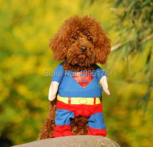 Смешная собака одежда, костюм для Хэллоуина для щенков для маленьких собак домашних животных костюм пальто Чихуахуа Одежда 25S2