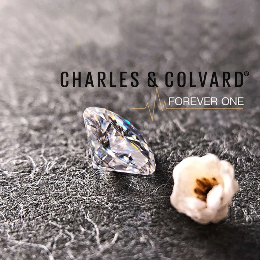 Бесцветный 6 мм 0.68CT VVS DEF Сертифицированный Charles Colvard Forever One Round Brilliant Cut Loose Moissanite Gem