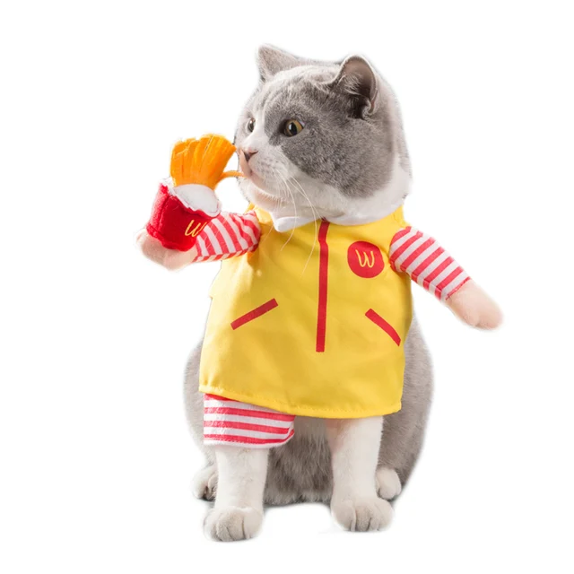Cats Costumes Yellow Fast Food Restaurant Waiter Holding Potato Chips