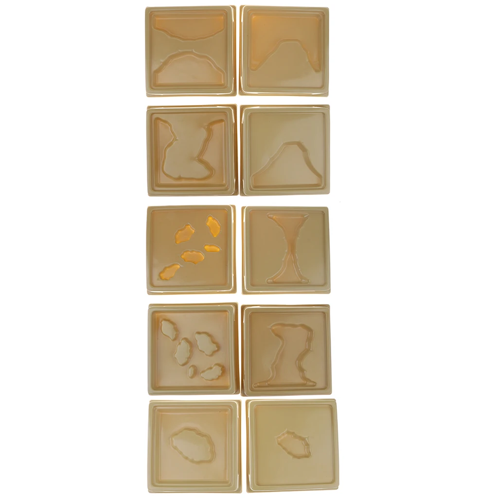 

Set of 10 Assorted Geographic Terrains Model Montessori Sensory Teaching Aids Children Educational Toy