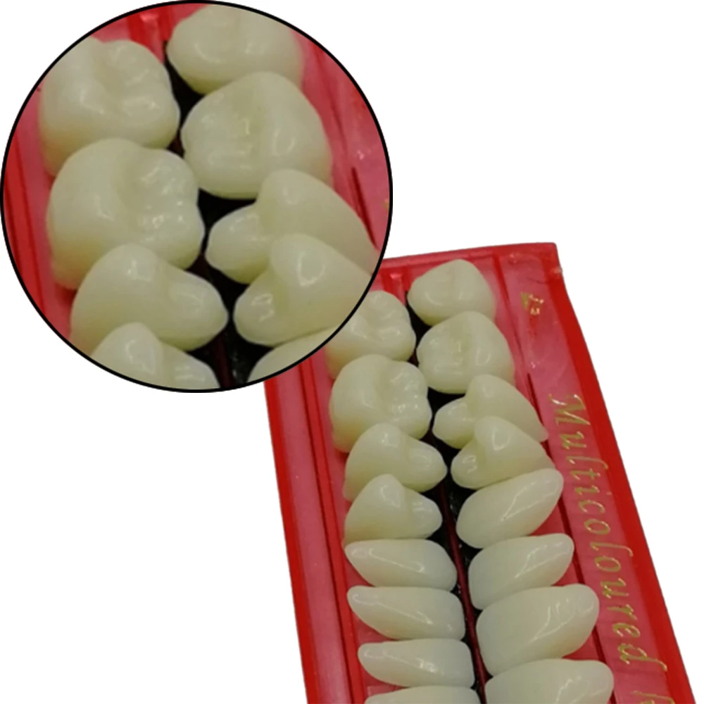 10 комплектов Профессиональный Стоматологический материал пластиковая обучающая модель зубов специальный Стоматологический материал полезный инструмент для ухода за зубами A2 Тип