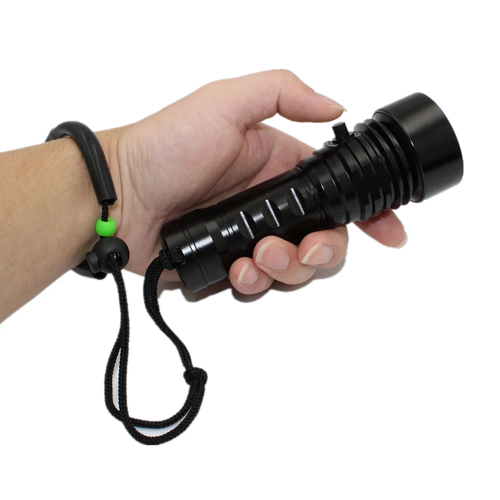 underwater video light (4)