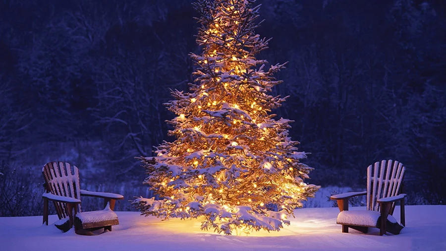 20141211_64e9878c3b45b7cabfdboce4tef2ko33