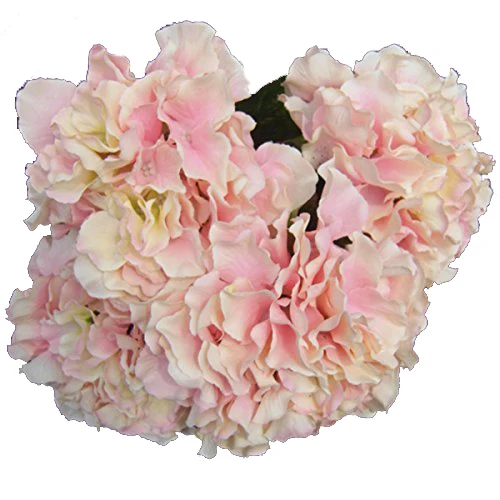 PHFU искусственный цветок гортензии 5 больших головок батут(диаметр " Каждая голова) доступны розовый