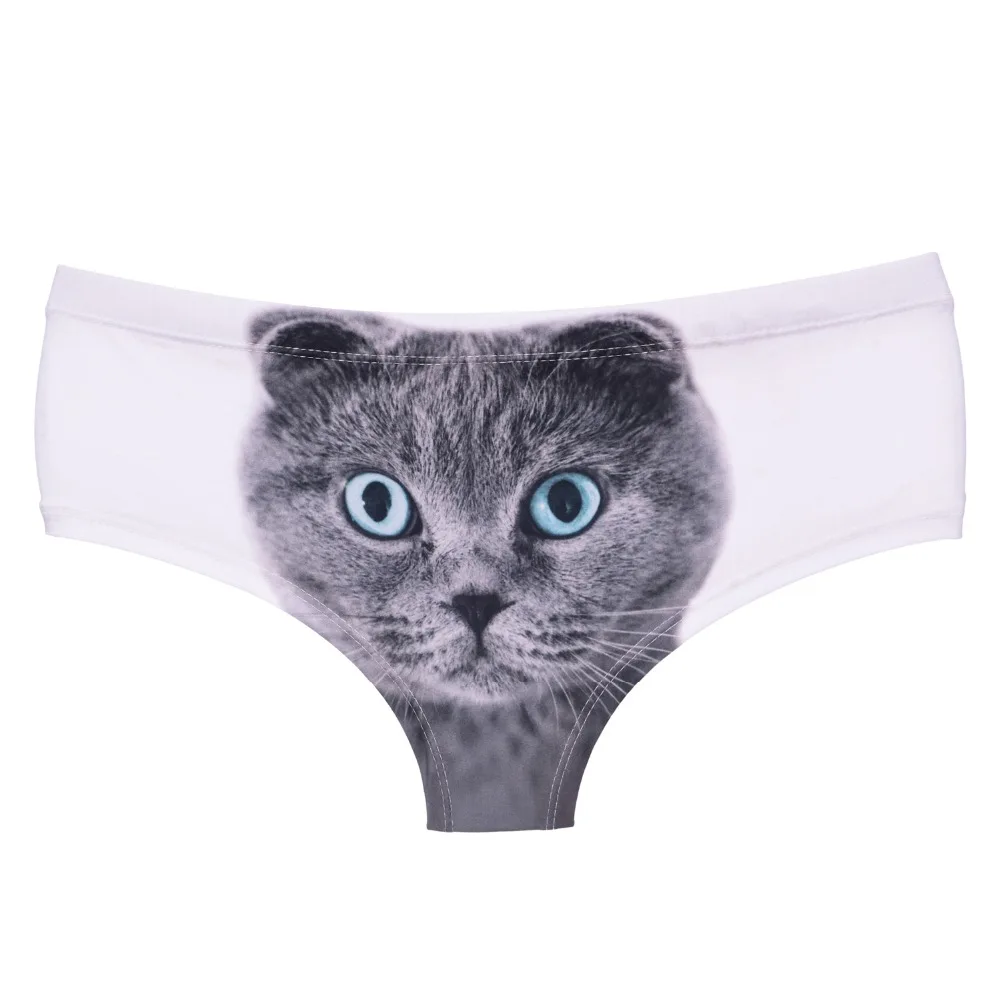 39432 british cat (4)