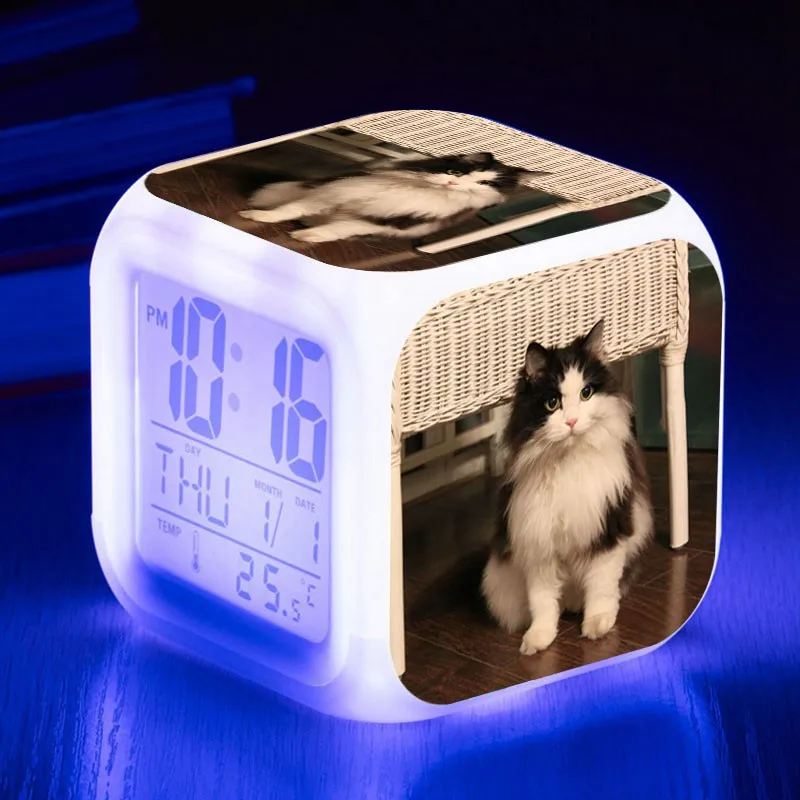 Домашний питомец, кошка, графический светодиодный Будильник, Ночной светильник, цветные вспышки, цифровые часы, reloj despertador, термометр, wekker reveil, часы, подарки - Цвет: LCM23