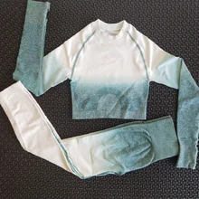 2 piece gym set women ombre seamless workout set VIP