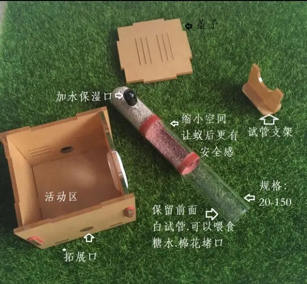 Новый бамбуковый дизайн Ant Nest Pet акриловая домашняя мастерская для детей