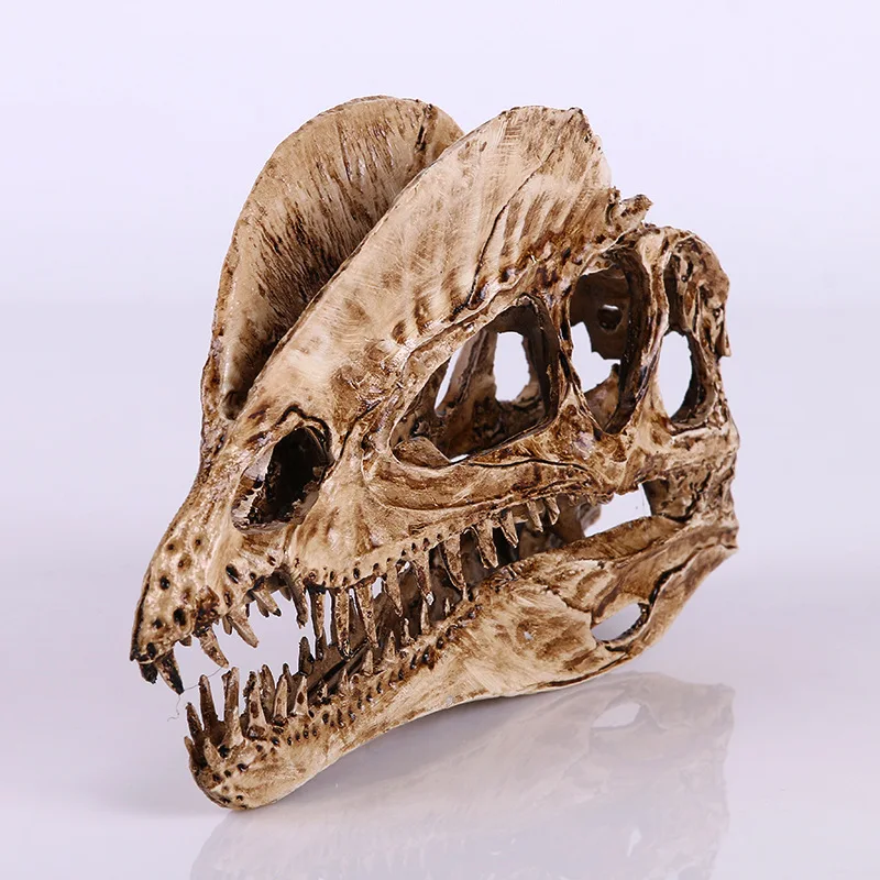

Dilophosaurus Dinosaur Skull Resin Realistic Models Halloween Home Decoration Gift Horror Figures High Precision Resin Craftwork