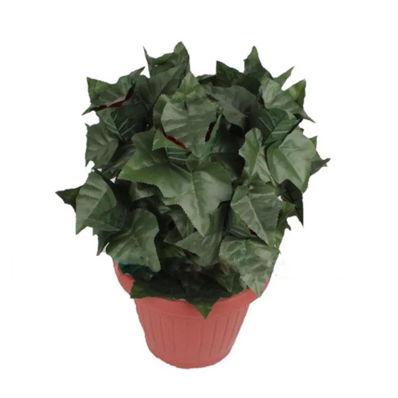 554973957_1273076403