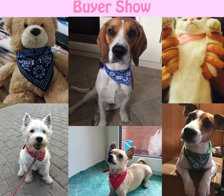 buyer show