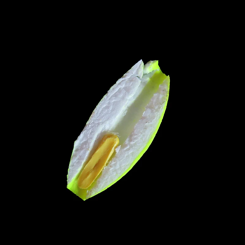 20180925_170913_010