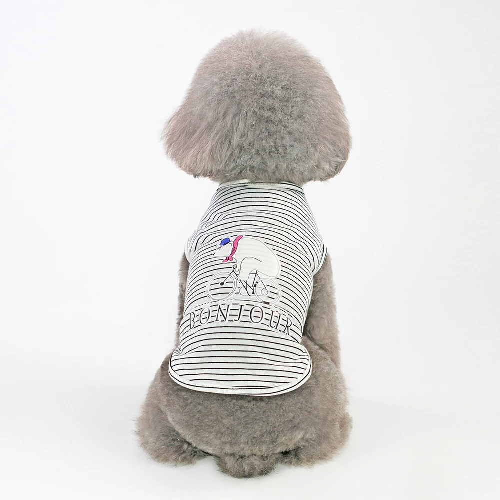 WeChat Image_20190224205023 -