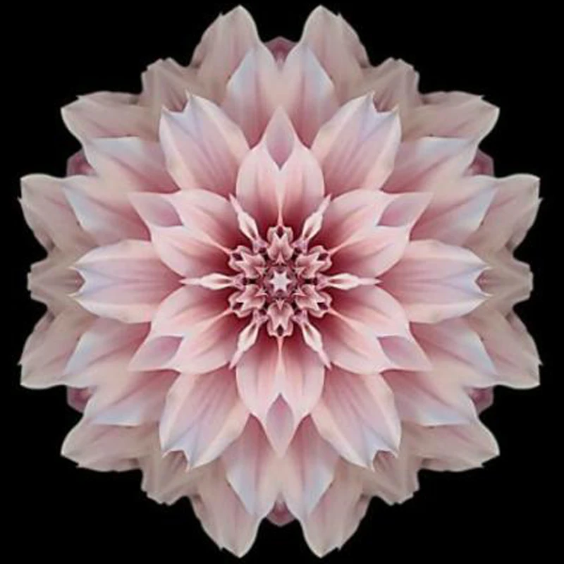 

5D DIY Pink Flower Diamond Painting Cross Stitch Full Round Mandala Diamond Embroidery Crystal Rhinestone Diamond Mosaic Picture