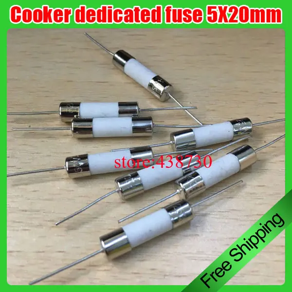 30pcs Induction Cooker Fuse 5X20mm fuse ceramic with wire 250V 10A 20A 15A fusein Fuses from