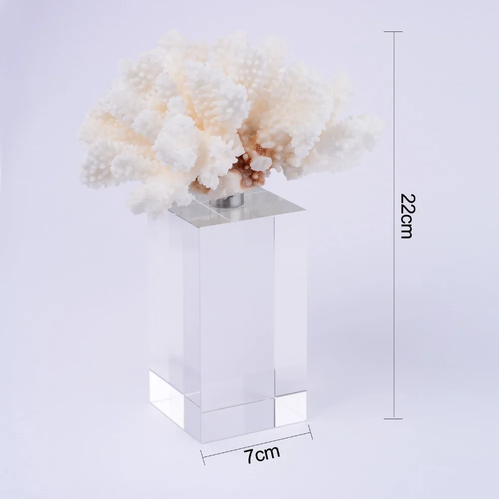 6cm