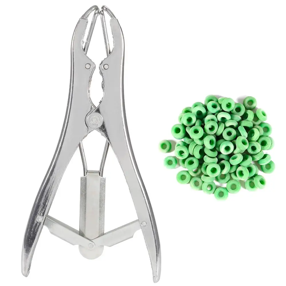 

Poultry Farming Supplies Stainless Steel Sheep Pig Castration Pliers Rings Veterinary Surgical Tool