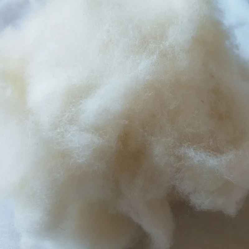 WFPFBEC Высокое качество шерсть наполнитель волокна Материал 100 г для игрушек Подушка Diy шерсть фетр дешевый наполнитель 100 г