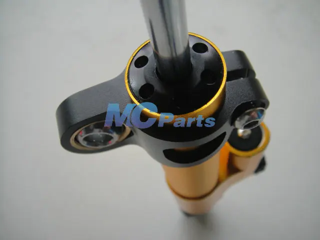 MC-SDS-B-Gold-6