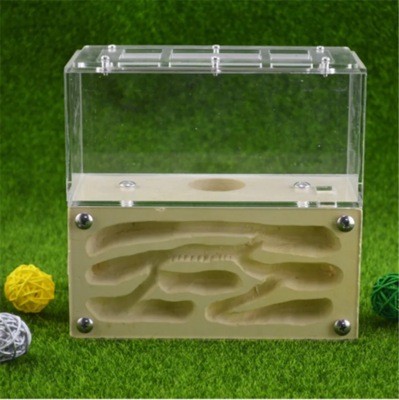 Earth Formicarium designed with ants in mind this sturdy gypsum and acrylic nest measures   (1)1