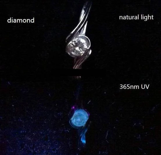 365nm uv light test (8)